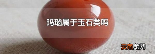 玛瑙属于玉石类吗
