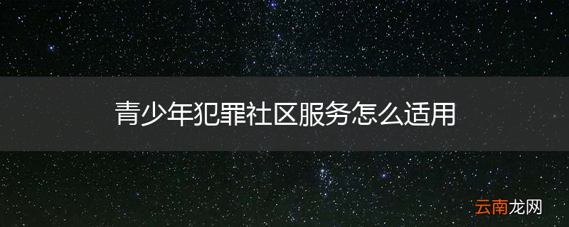青少年犯罪社区服务怎么适用