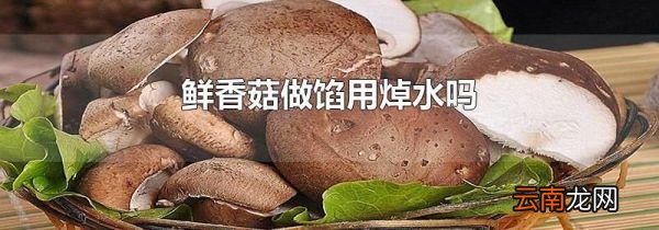 鲜香菇做馅用焯水吗