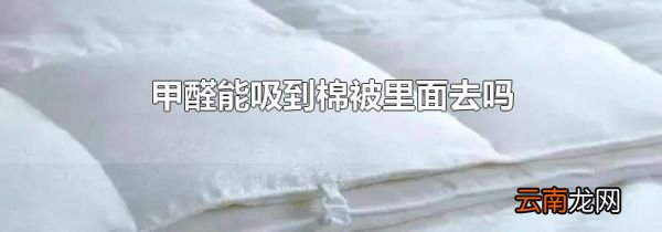甲醛能吸到棉被里面去吗
