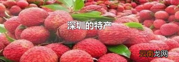 深圳的特产