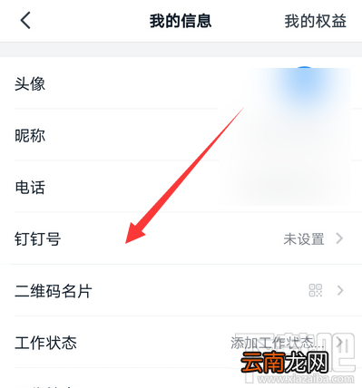 钉钉号可以修改吗?钉钉号修改技巧分享