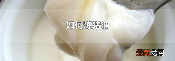 如何炼猪油