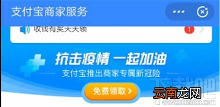 支付宝怎么开通商家专属新冠险？