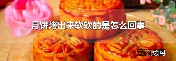 月饼烤出来软软的是怎么回事