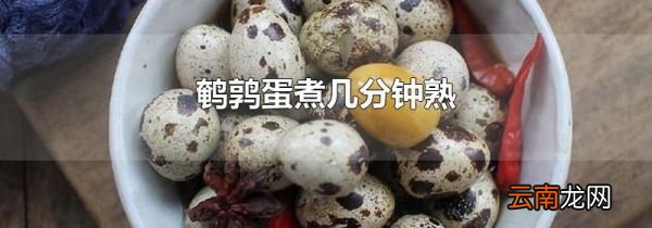 鹌鹑蛋煮几分钟熟