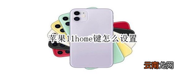 苹果11home键怎么设置