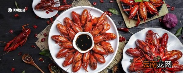 小龙虾从哪里传入中国 小龙虾如何传入中国的