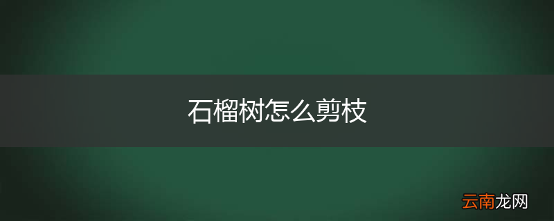 石榴树怎么剪枝