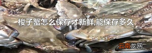 梭子蟹怎么保存才新鲜,能保存多久