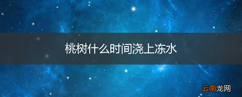桃树什么时间浇上冻水