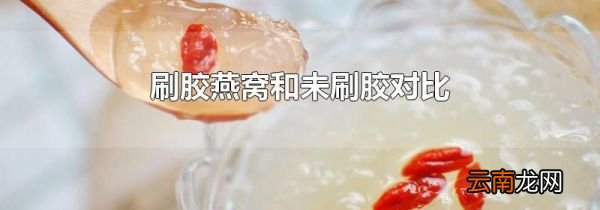 刷胶燕窝和未刷胶对比
