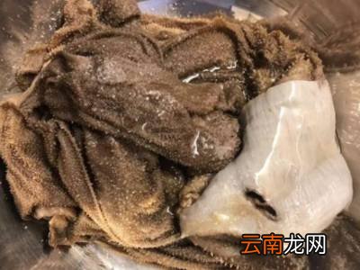 新鲜牛百叶怎么处理吃起来脆