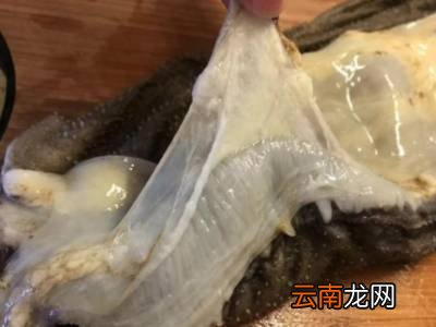 新鲜牛百叶怎么处理吃起来脆