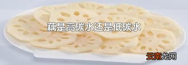 藕是高碳水还是低碳水