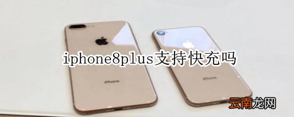 iphone8plus支持快充吗