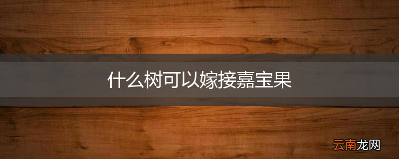 什么树可以嫁接嘉宝果