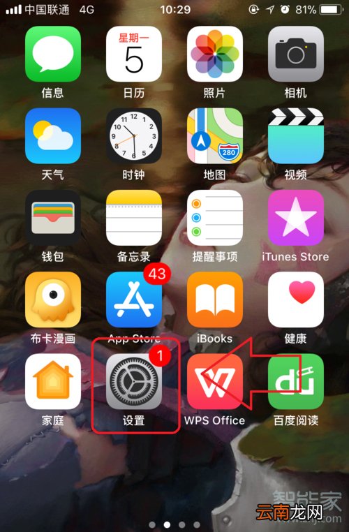 苹果11流量显示怎么设置