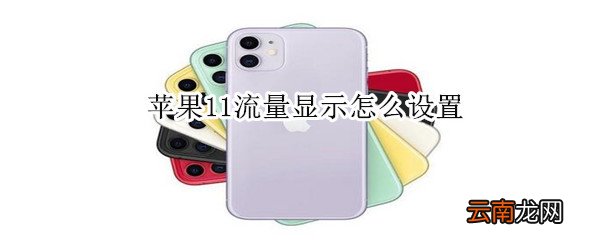 苹果11流量显示怎么设置