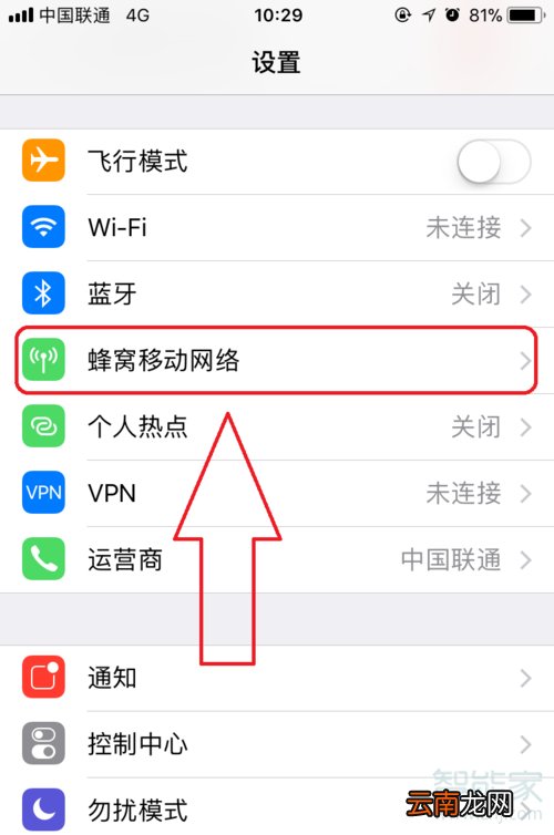 苹果11流量显示怎么设置