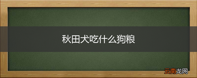秋田犬吃什么狗粮