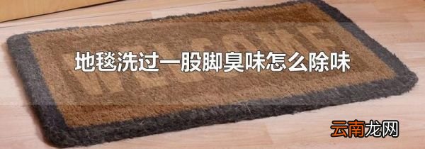 地毯洗过一股脚臭味怎么除味
