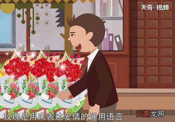 送玫瑰花朵数的含义如何送玫瑰花