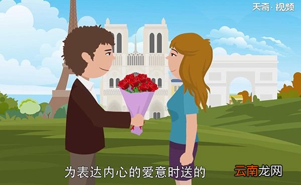 送玫瑰花朵数的含义如何送玫瑰花
