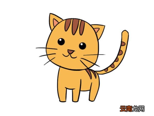 小动物简笔画