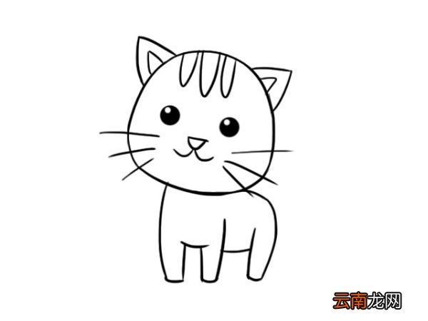 小动物简笔画