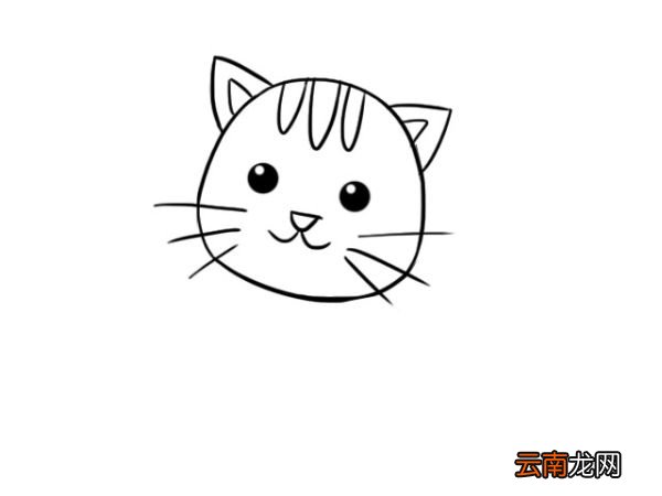 小动物简笔画