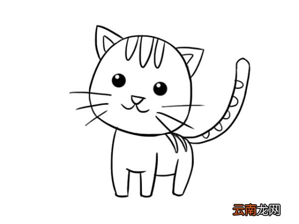 小动物简笔画