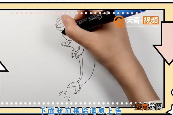 海豚简笔画