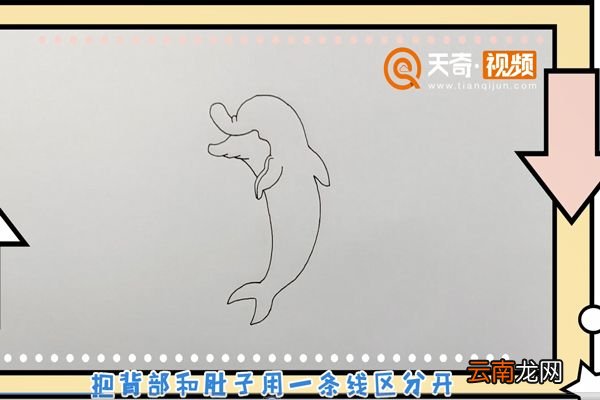 海豚简笔画