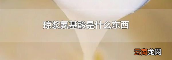琼浆氨基酸是什么东西