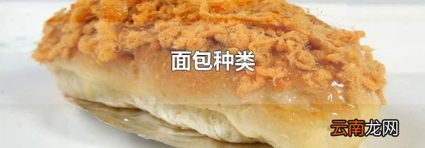 面包种类