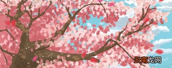 关于梅花的古诗有哪些 梅花的古诗有哪些