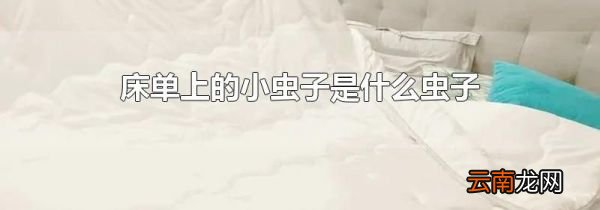 床单上的小虫子是什么虫子