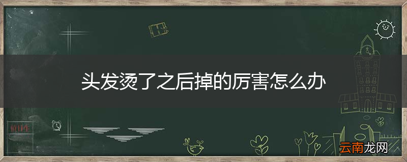 头发烫了之后掉的厉害怎么办