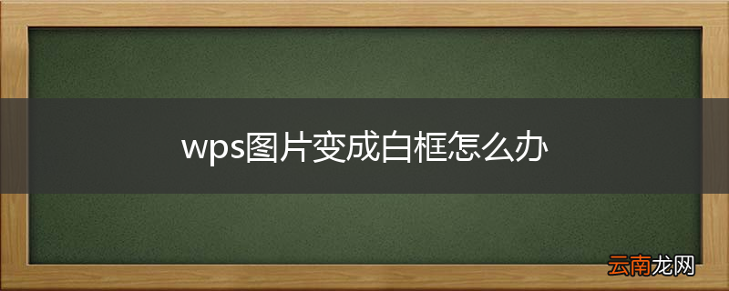 wps图片变成白框怎么办