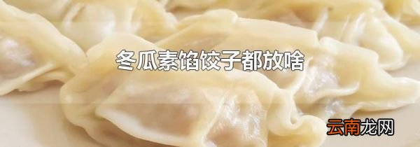 冬瓜素馅饺子都放啥