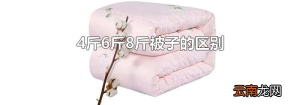 4斤6斤8斤被子的区别