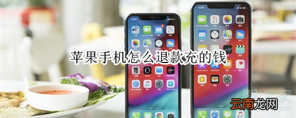 苹果手机怎么退款充的钱