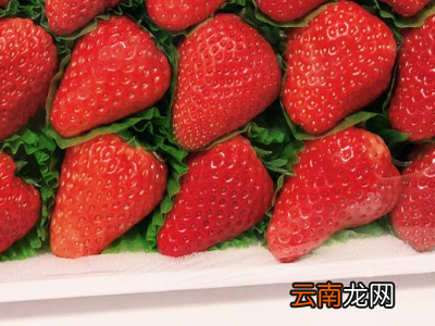 草莓的保存方法及保存时间