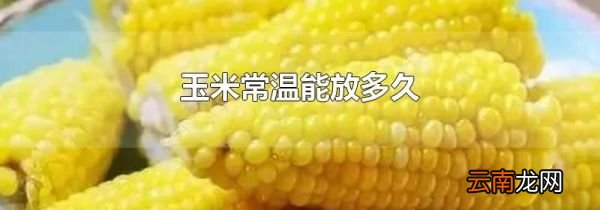 玉米常温能放多久
