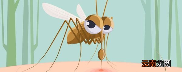 开空调可以驱蚊吗 开空调能驱蚊吗