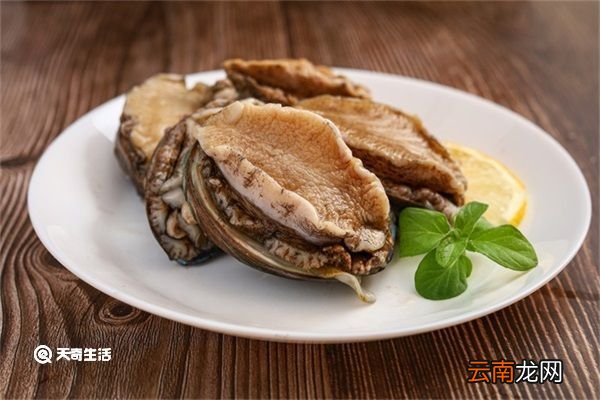 鲍鱼汤的功效与作用 鲍鱼汤的功效与作用有哪些