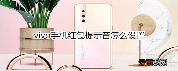 vivo手机红包提示音怎么设置