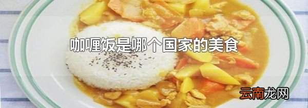 咖喱饭是哪个国家的美食