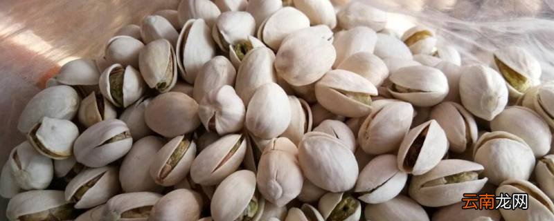 开心果颜色不同有什么区别